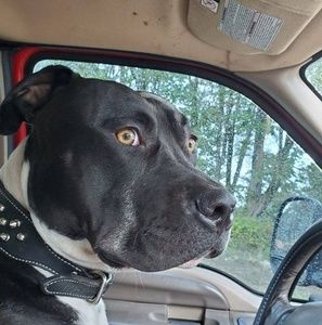 Meet your Posher, Casey